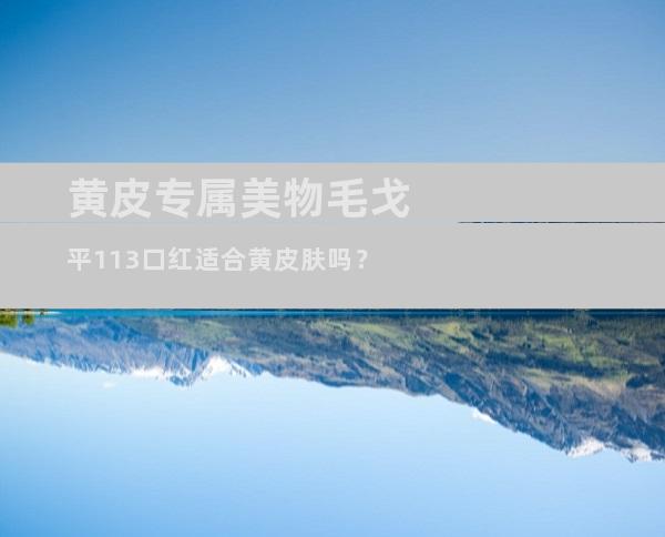 黄皮专属美物毛戈平113口红适合黄皮肤吗？